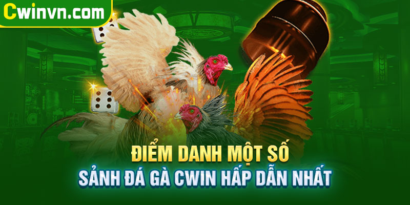 Một số sảnh đá gà Cwin hấp dẫn nhất